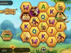 Mo' Honey Mo' Money Slots